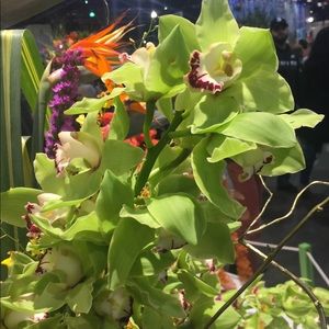 Meet your Posher, Barbara